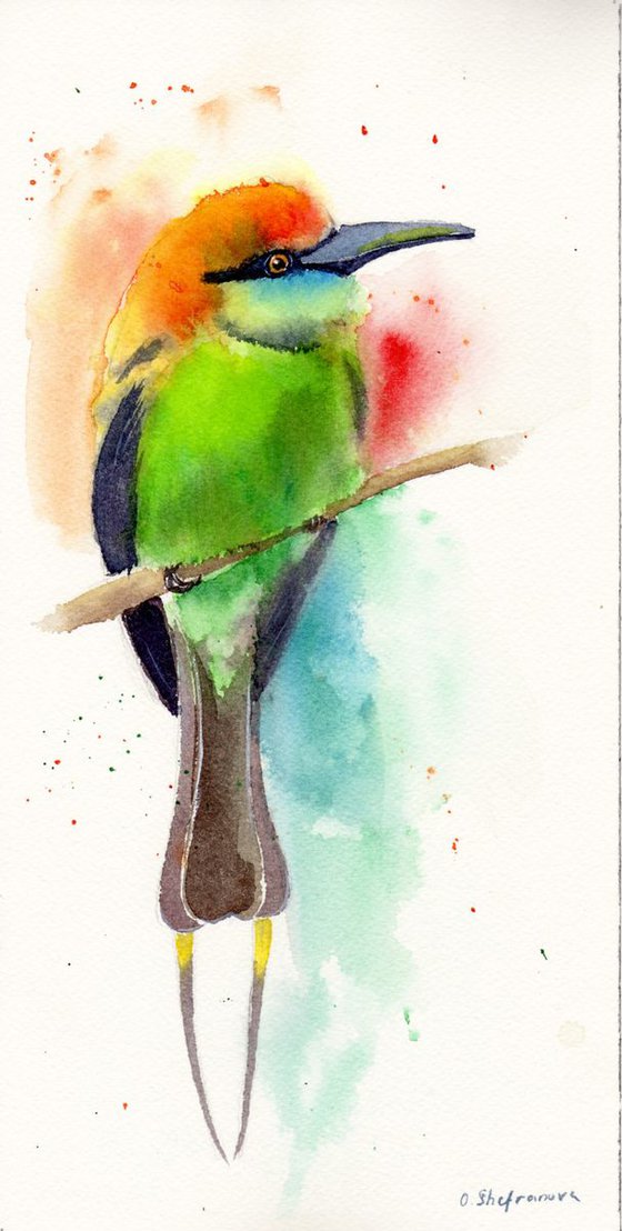 Australian rainbow bee eater Original Watercolor Painting