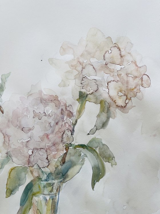 Peonies 50x65 cm 2025