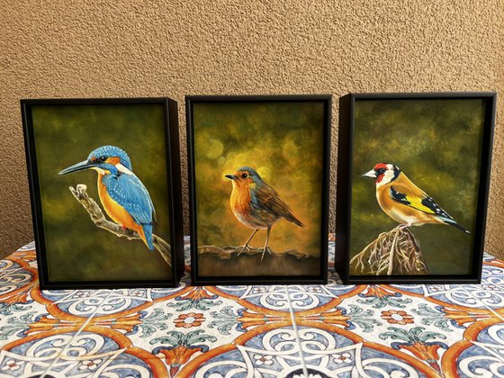 Oil Bird Triptych - Custom Commission