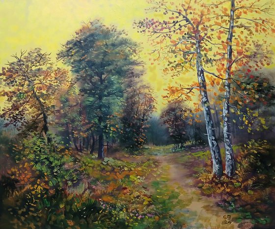 Autumn In The Forest