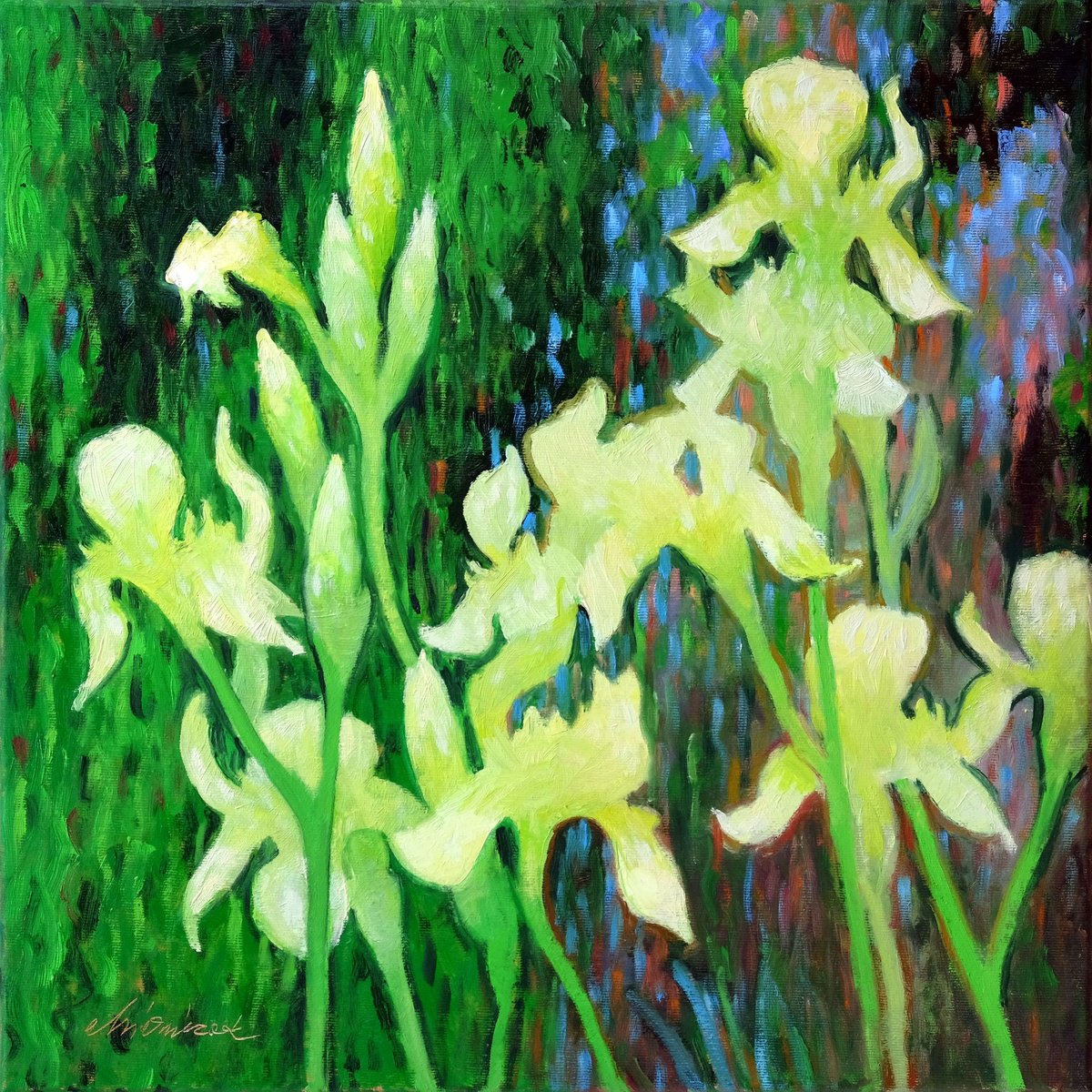 Impressionistic Botanical Oil Painting By Richard Mierniczak, 20 X 20", White Irises, Original Artwork