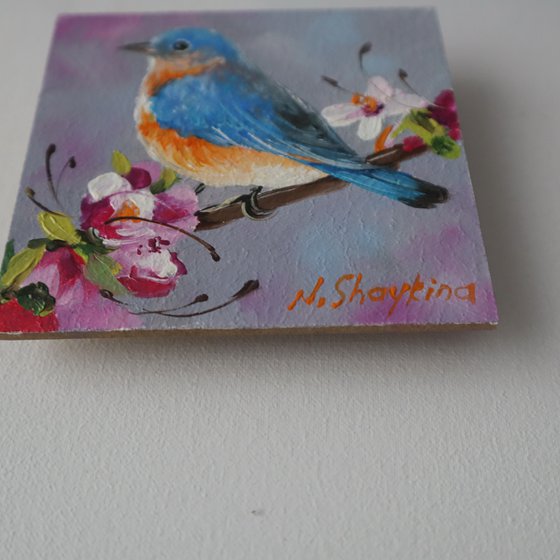Tiny Flower Bluebird