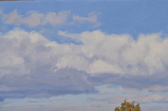 Pines on the snowy summit of Mount Mézenc