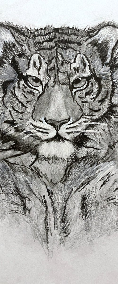 Tiger by Tina Shyfruk