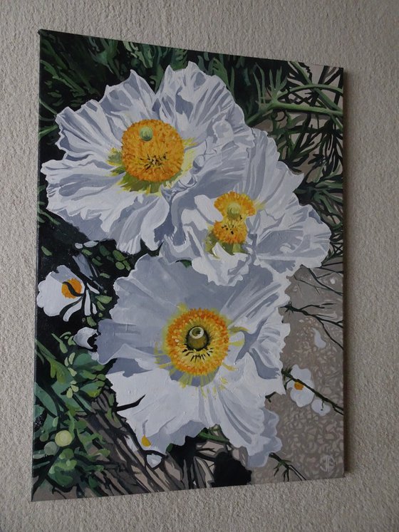 White Tree Peony 2