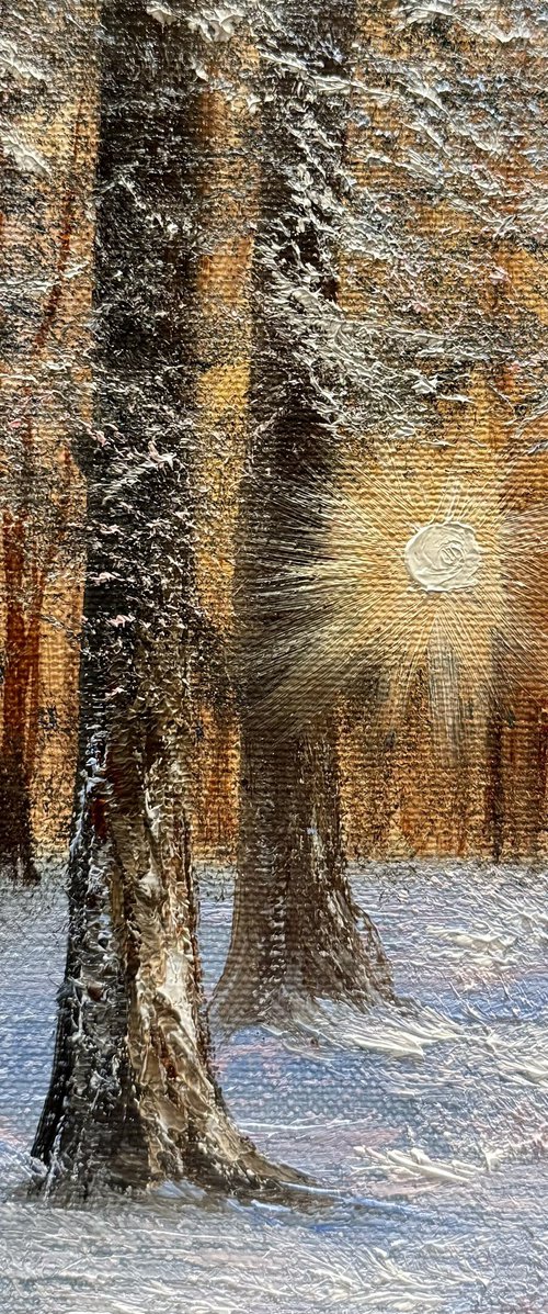 Light of the Winter by Tanja Frost