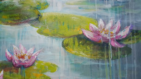 Waterlilies