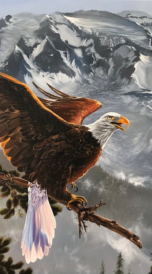 Eagle in the mountains by Kakajan Charyyev