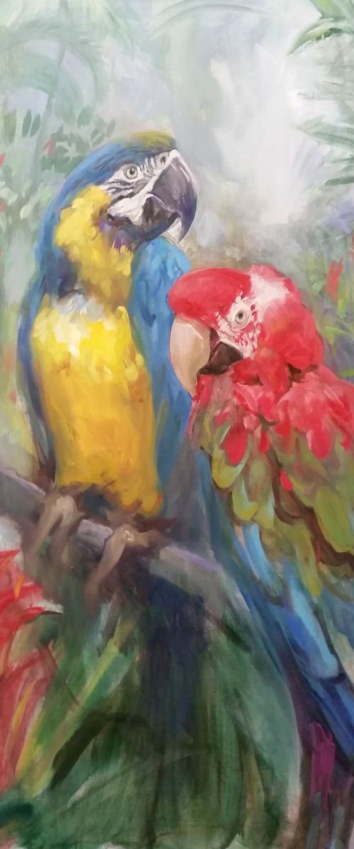 Parrots by HELINDA (Olga Müller)
