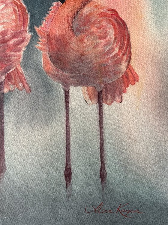 Flamingo