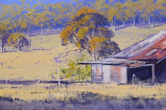 Valley Farm Shed Australian Landscape