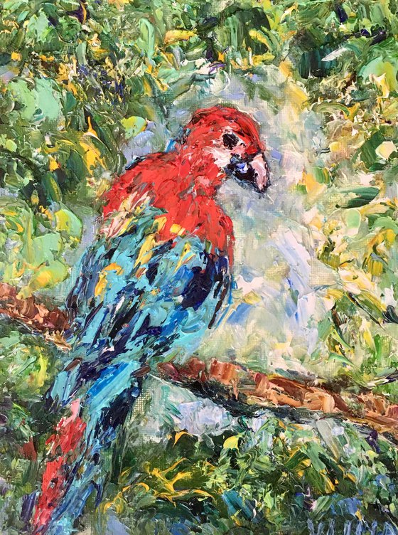 Parrot Ara
