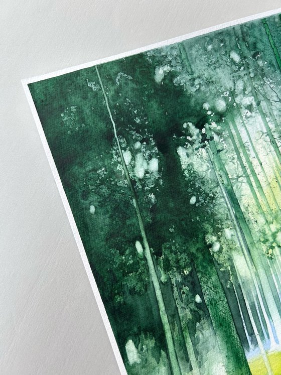 Serene Forest Landscape