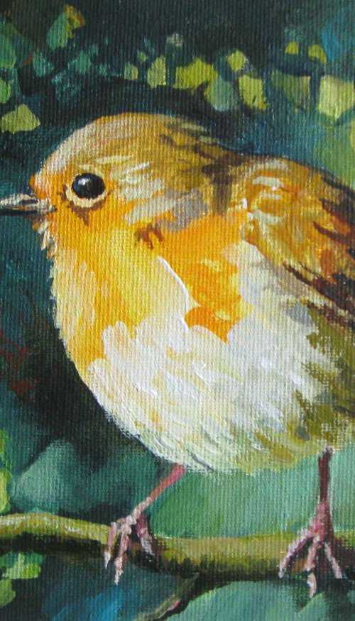 Little robin - framed by Elena Oleniuc