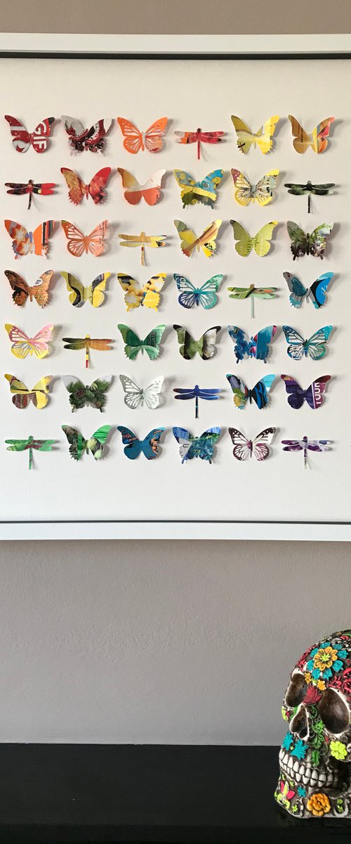 Rainbow Wings New Collection by Hernan Reinoso