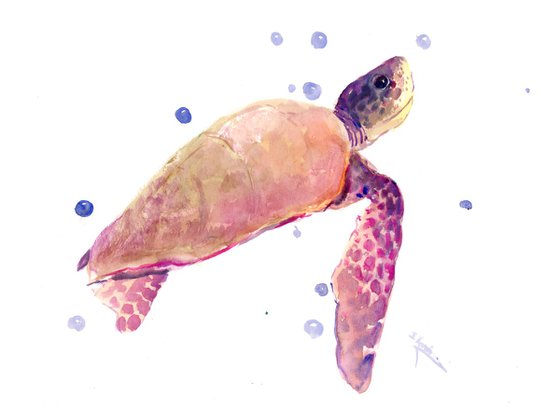 Sea Turtle