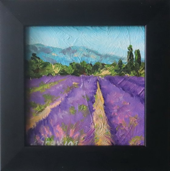 Lavender Fields Scene