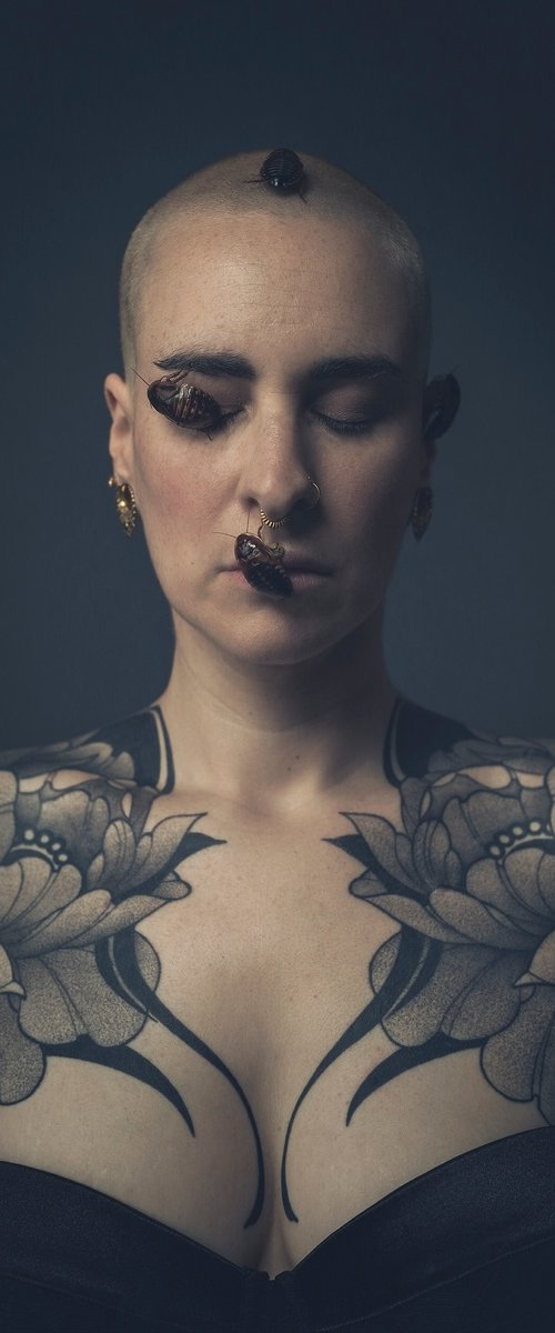 Silent Witness II by Cédric Brion
