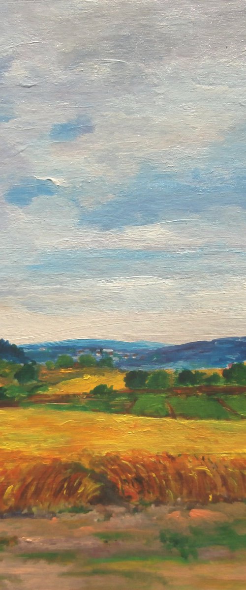 WHEAT FIELD by Zoran Mihajlović Muza
