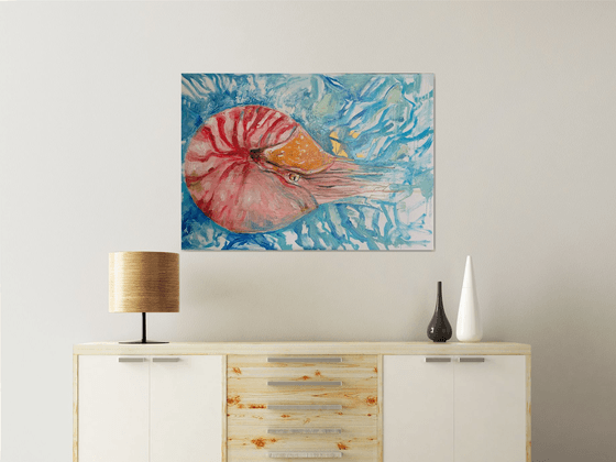 Nautilus Pompilus