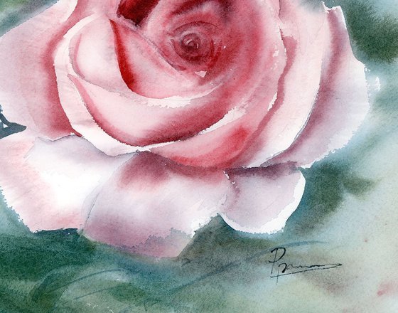 Red Rose Painting Original Watercolor