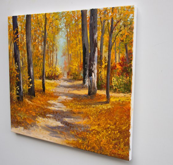 Fall forest.