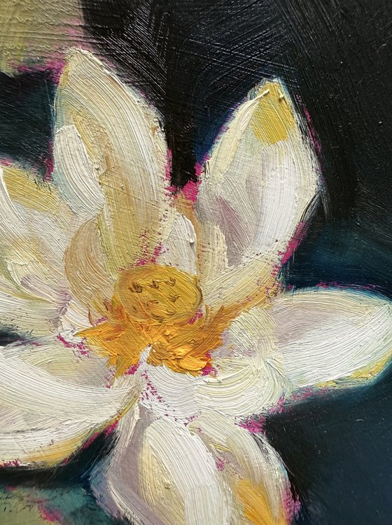 Lily in the Dark