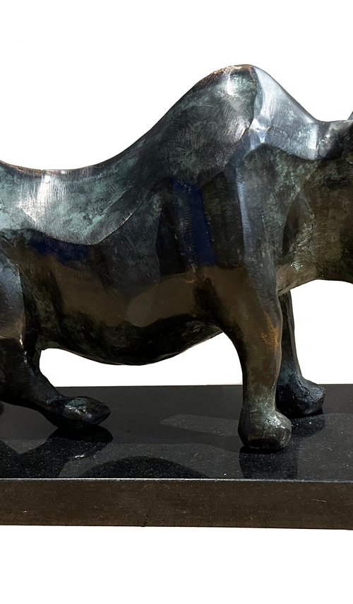 Rhino by Toth Kristof