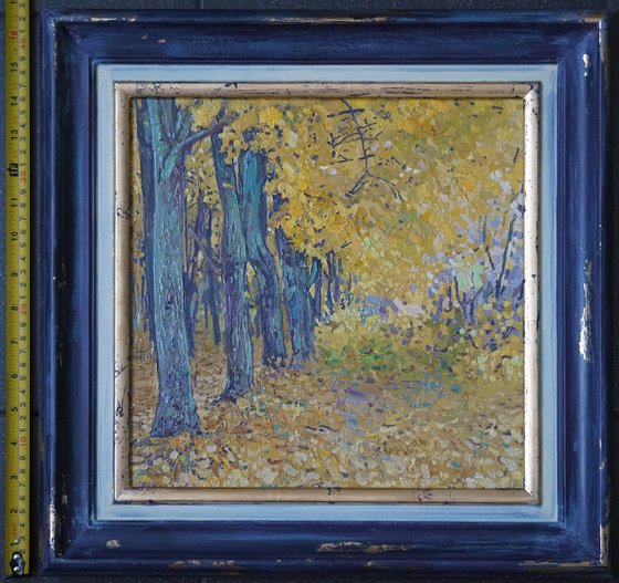 Golden maples in the park