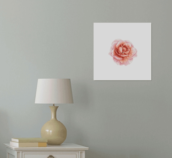 Fire Rose Painting
