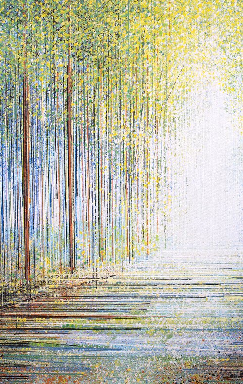 Forest Path Bathed In Light by Marc Todd
