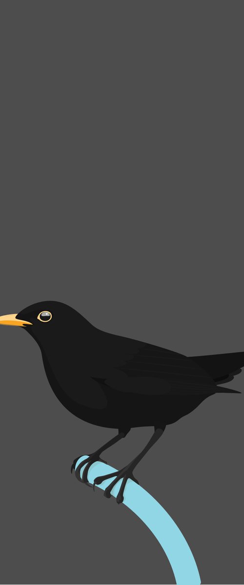 Solitary Blackbird by David Gill