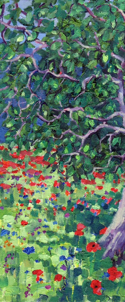 Poppy Meadow by Zoe Elizabeth Norman