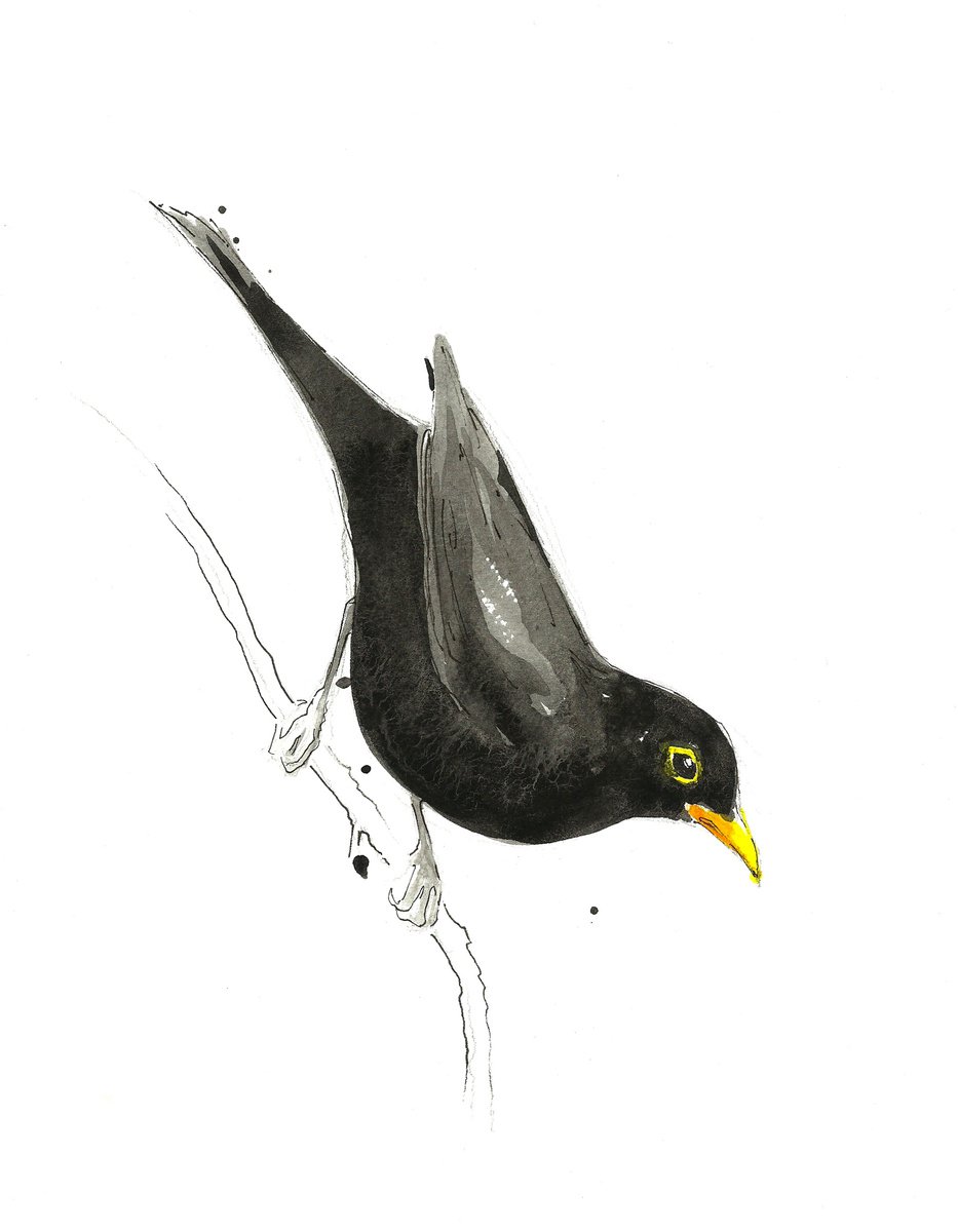 Blackbird by Richard Long
