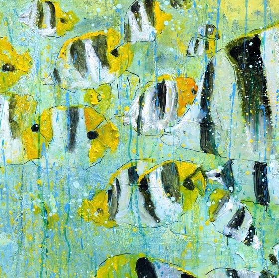 Tropical fish