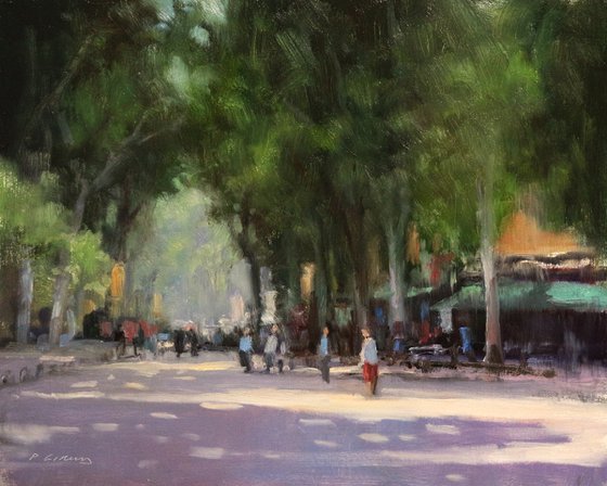 Aix en Provence (Cours Mirabeau)