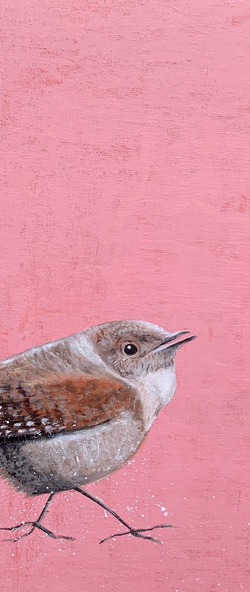 Wild ~ Wren on Rose by Laure Bury