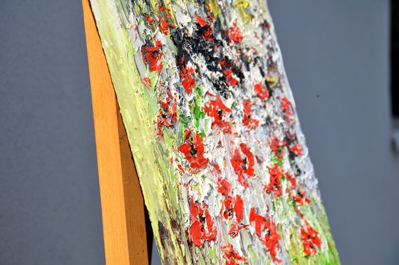 A Meadow Full Of Poppies