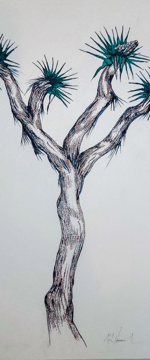 Joshua Tree #4 by Mark Hannah