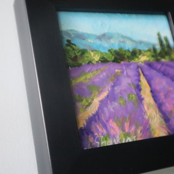 Lavender Fields Scene