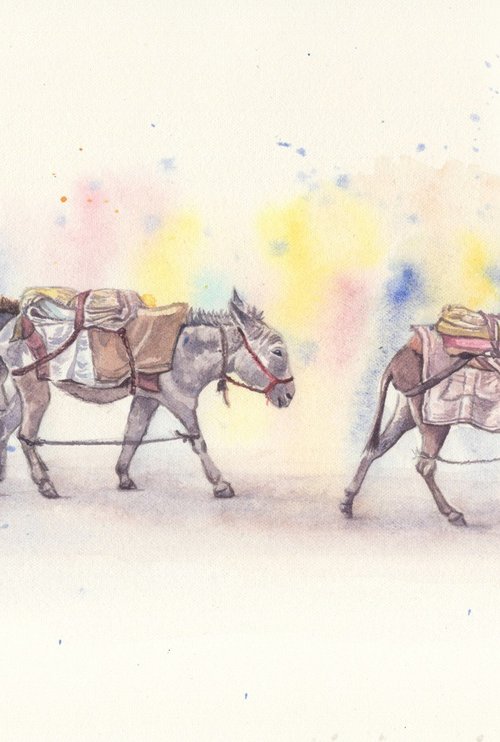 Three donkeys on the road by Shweta Mahajan
