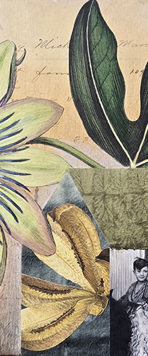 Passiflora Miramontes by Susan Savory