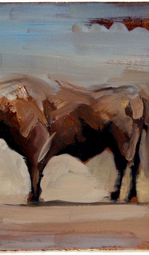 Toro XXIX (study) by Zil Hoque