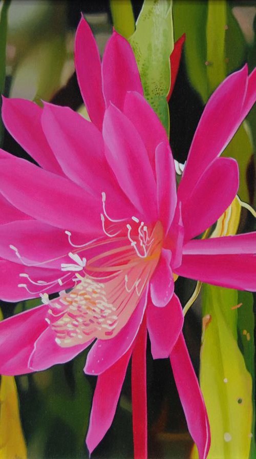 Cactus, Flower painting by Valeri Tsvetkov