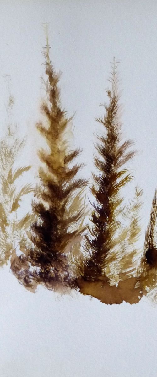Pine Wood Study 5, 24x16 cm by Frederic Belaubre