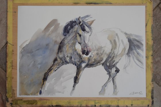 Horse in the trot (70x50)