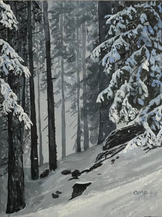 Winter Woods