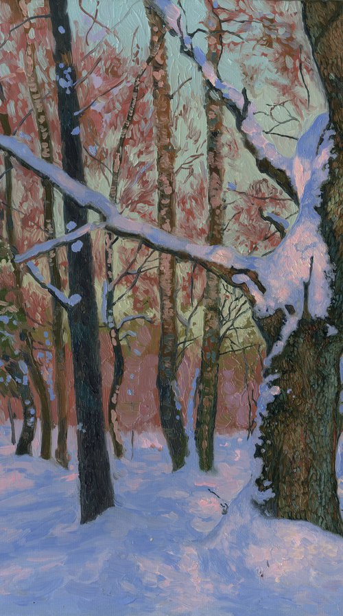 Winter day by Simon Kozhin