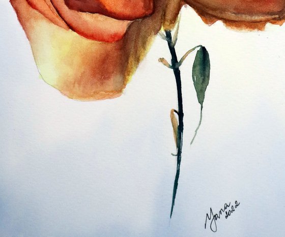 Red Rose in Watercolor - Original Art