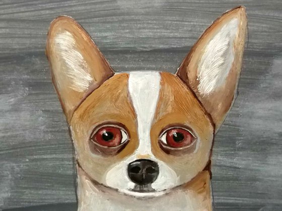 The little dog on grey background